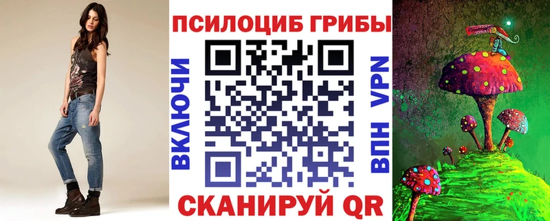 Купить закладки  Болгар  Псилоцибиновые грибы мицелий 